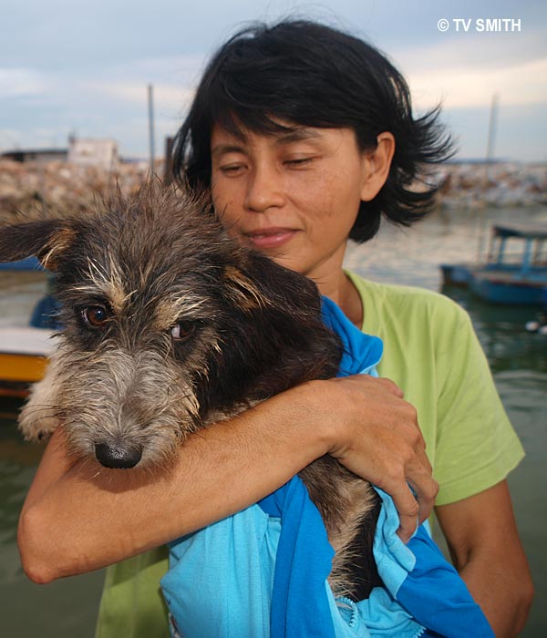Puppy Saved