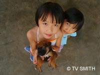 Furry Friends From Kundang