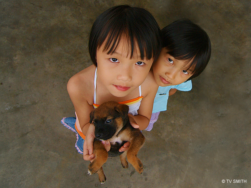 Furry Friends