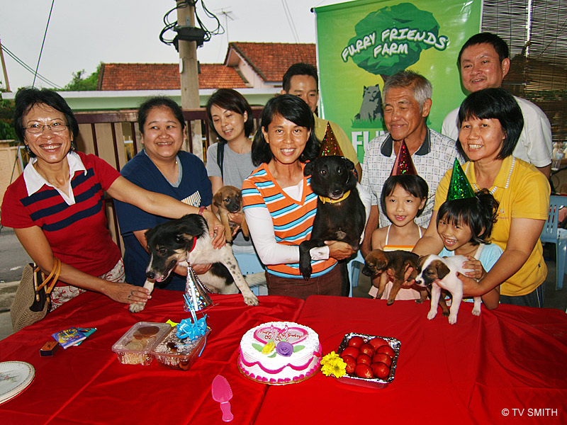 Furry Friends