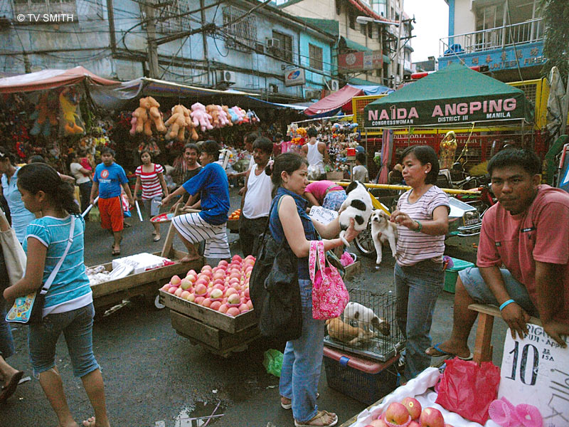 Streets Of Manila