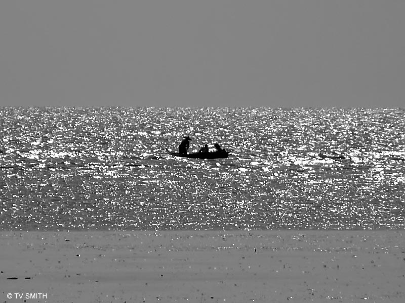 Silver Sea
