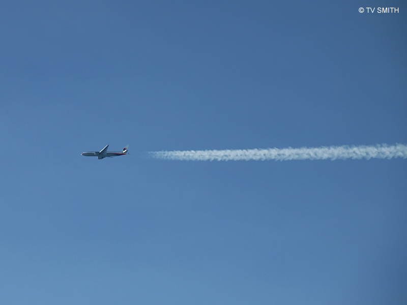 Flying High